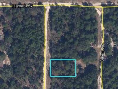 00 Lehigh Drive, FL