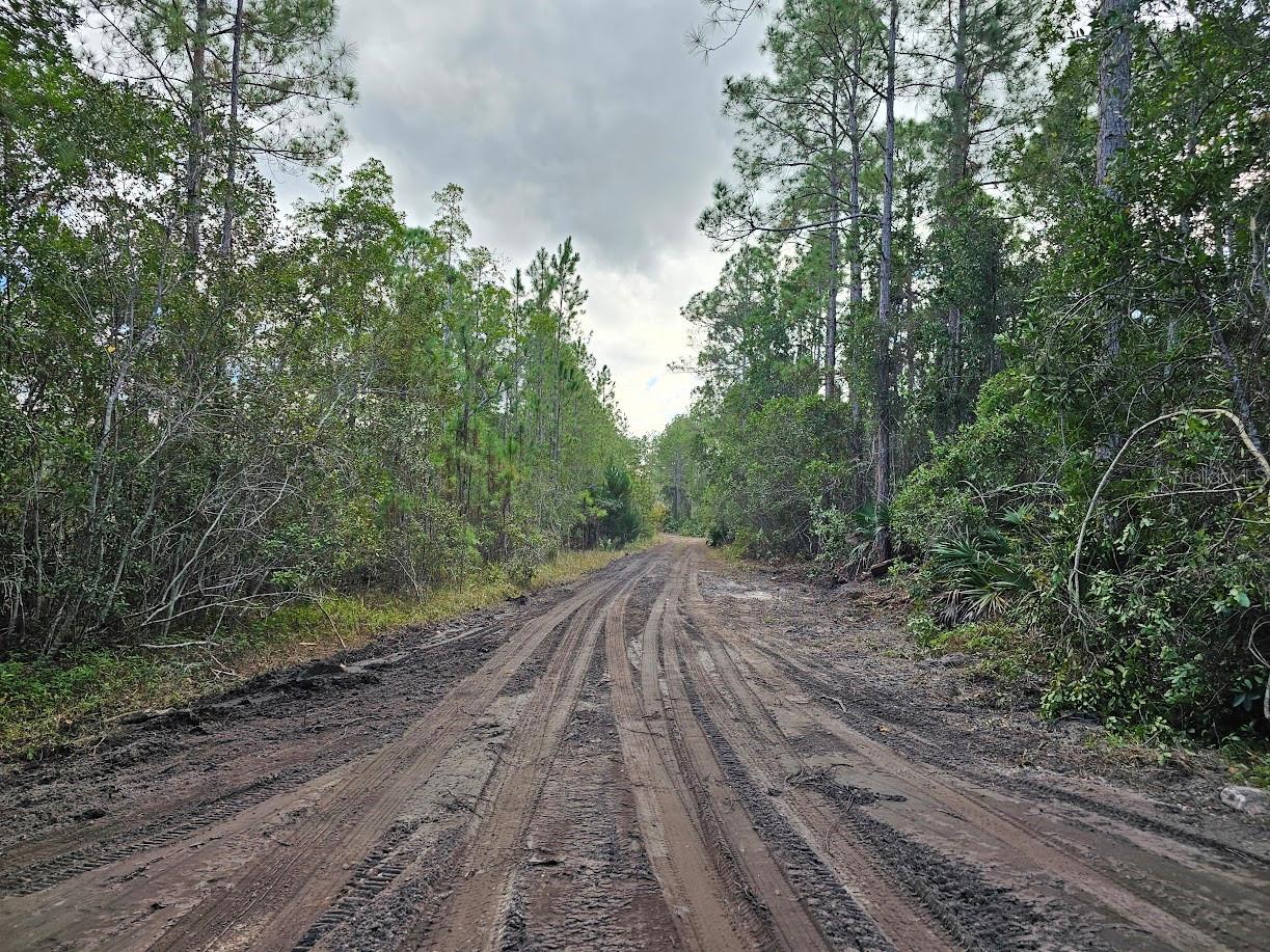 804 Shell Harbor Road, FL