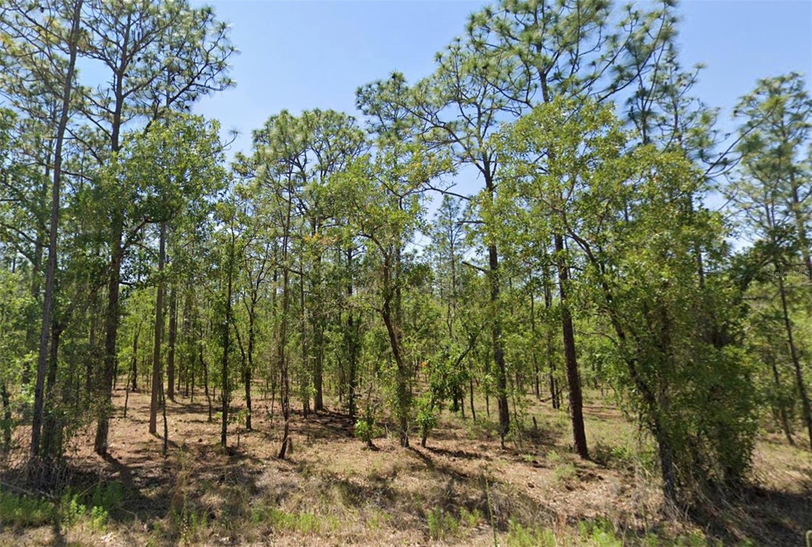 00 Narcissus Road, FL