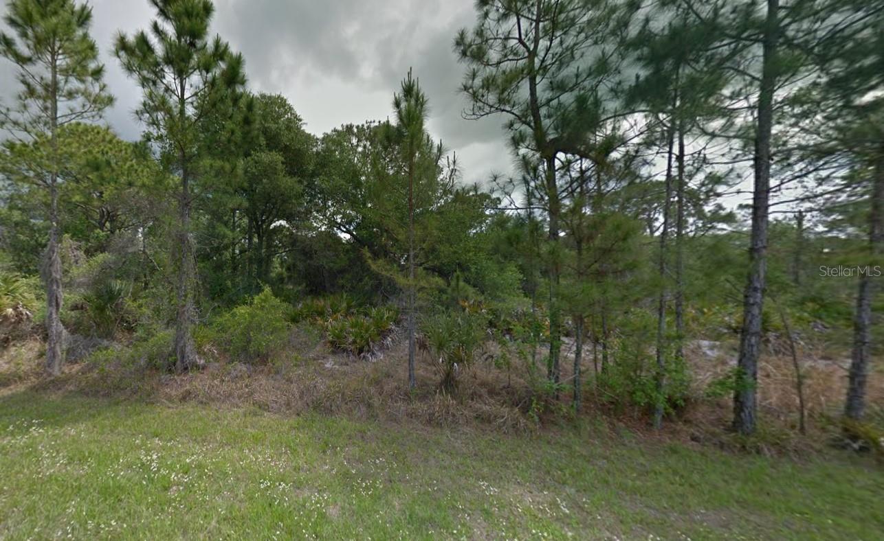1254 Casper Street, FL