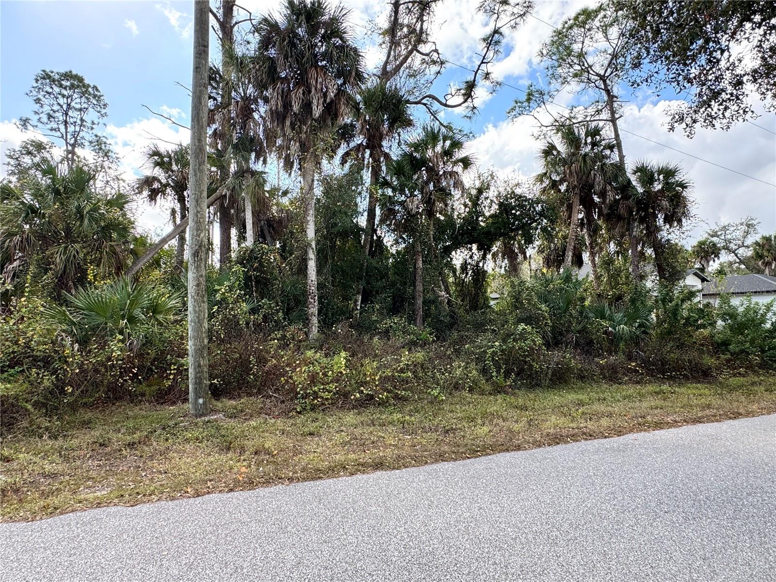 17081 Fallkirk Avenue, FL