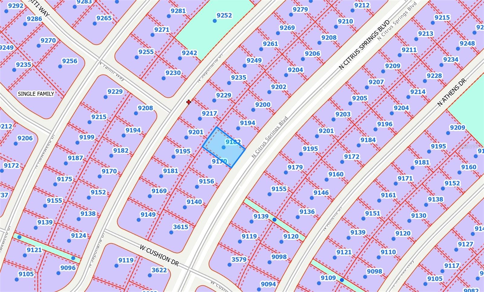 9182 Citrus Springs Boulevard, FL