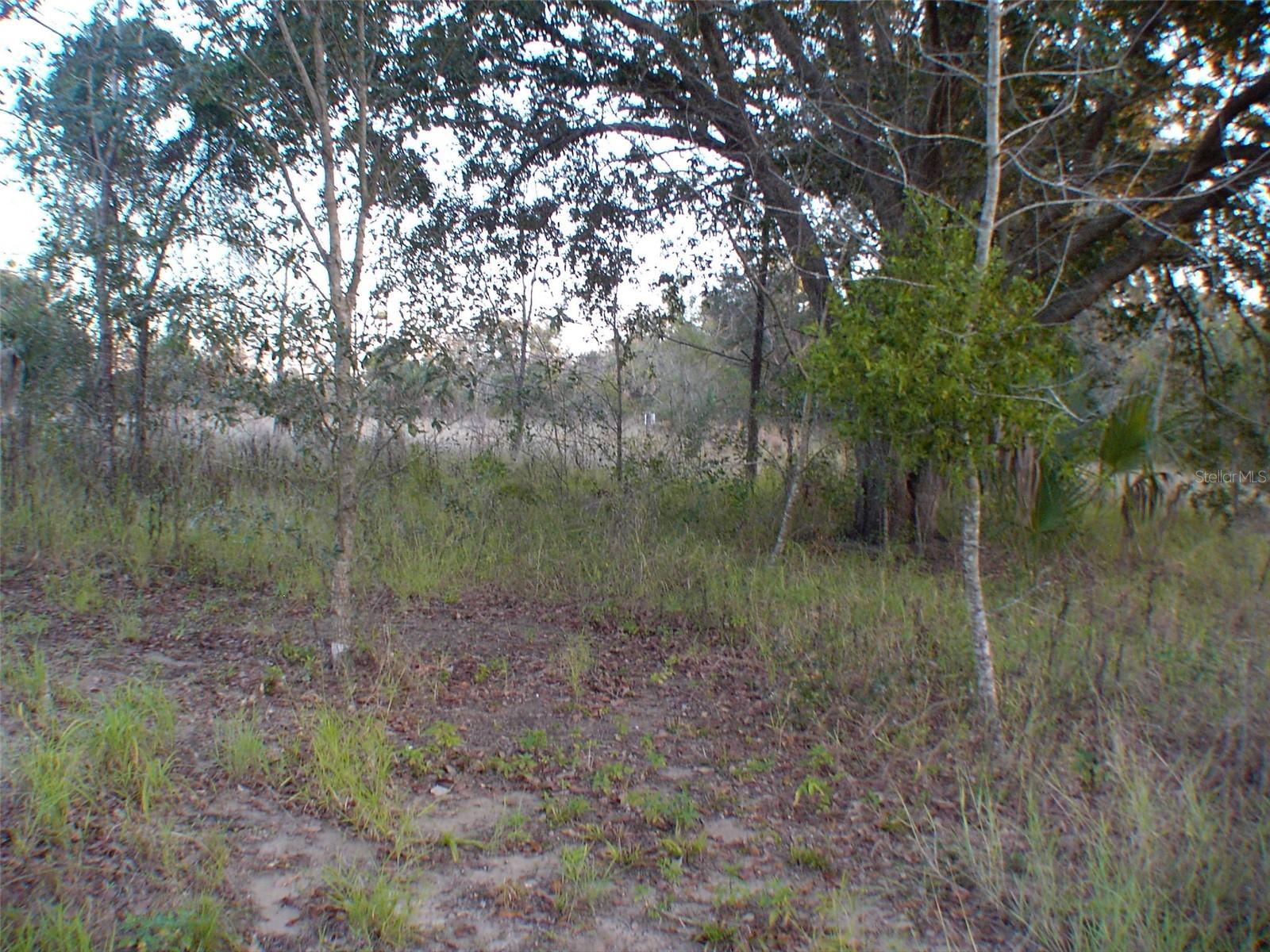 LADY LAKE, FL