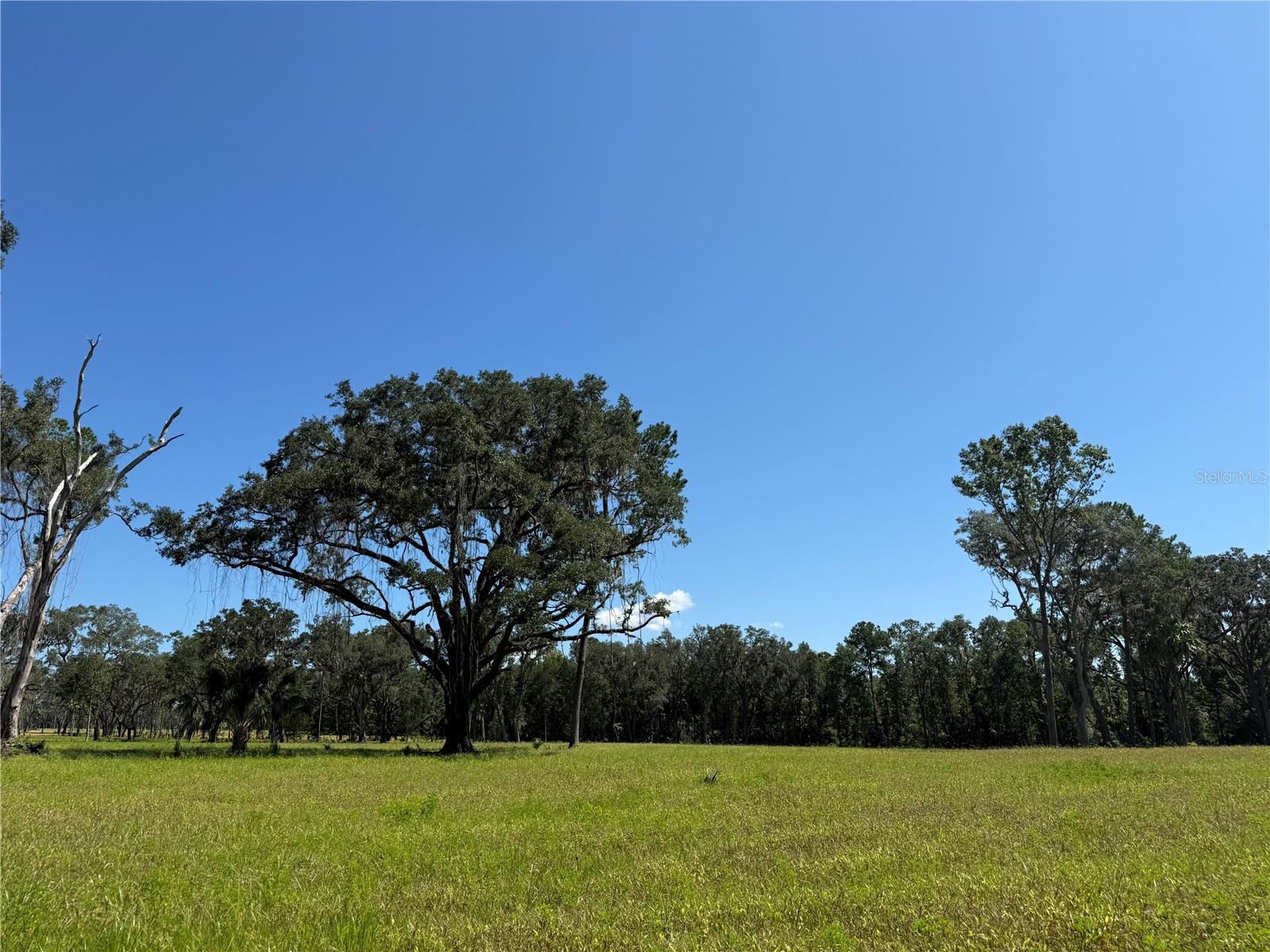 Do #6 (24ac) 193rd St, FL