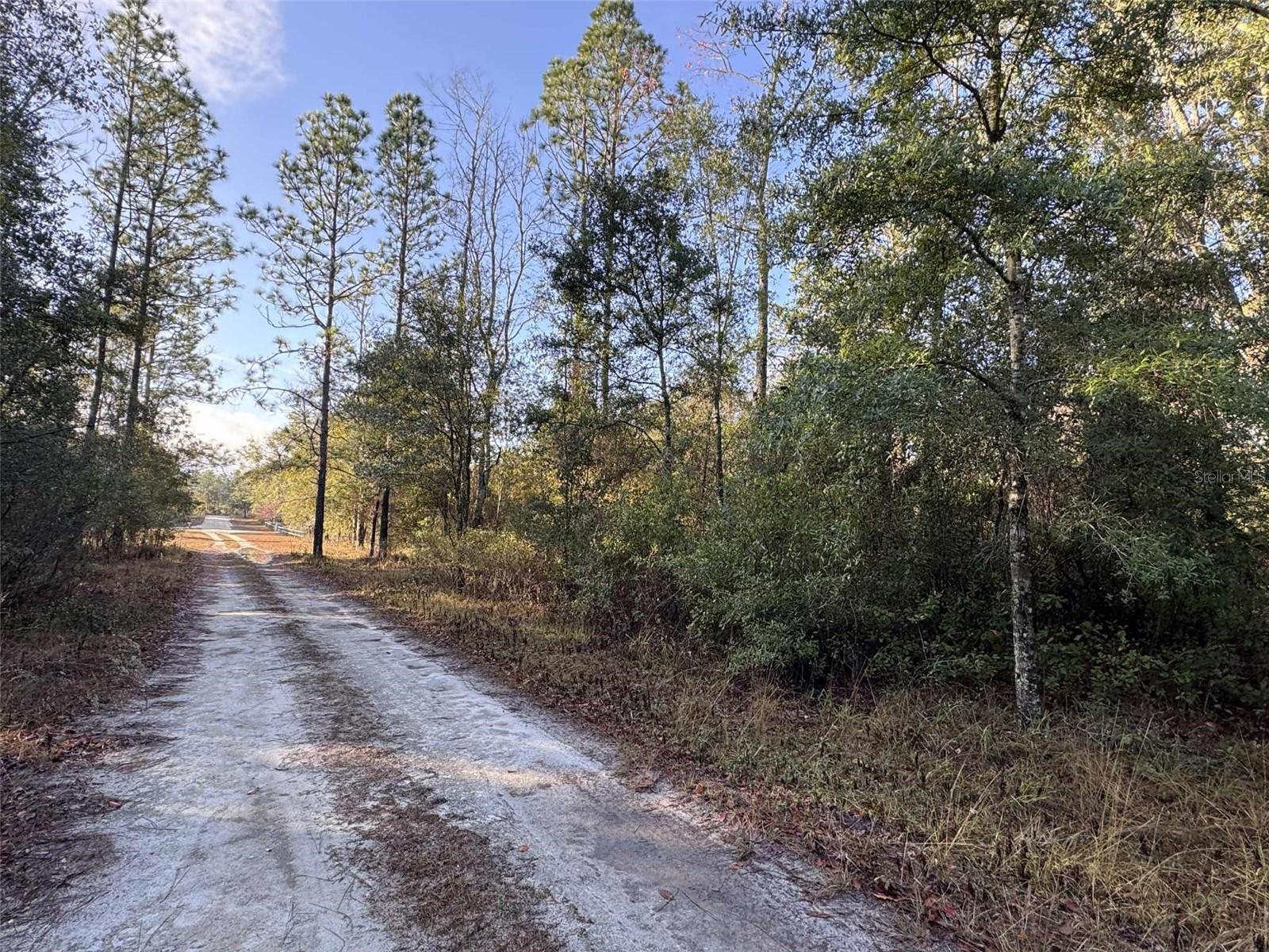 103rd Drive, FL