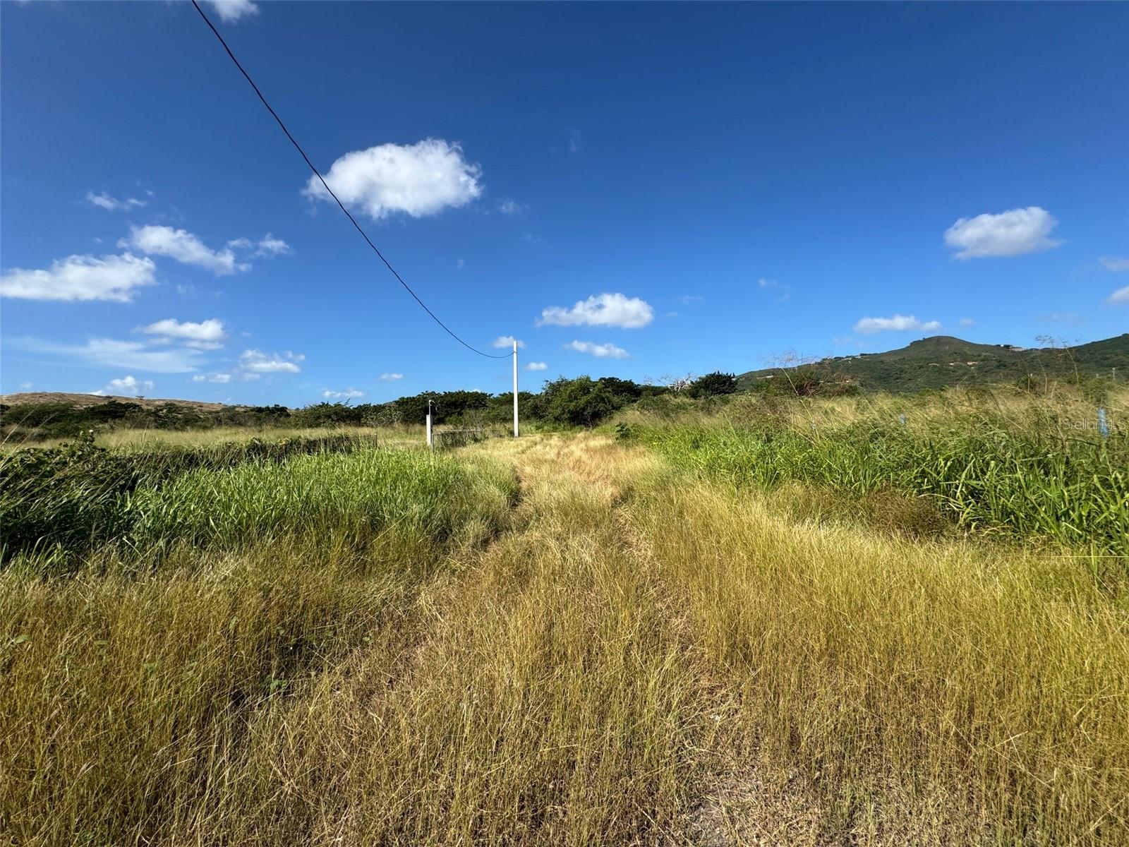Carr. 542 Bo. Jauca, Sector Cayure Predio 119, PR