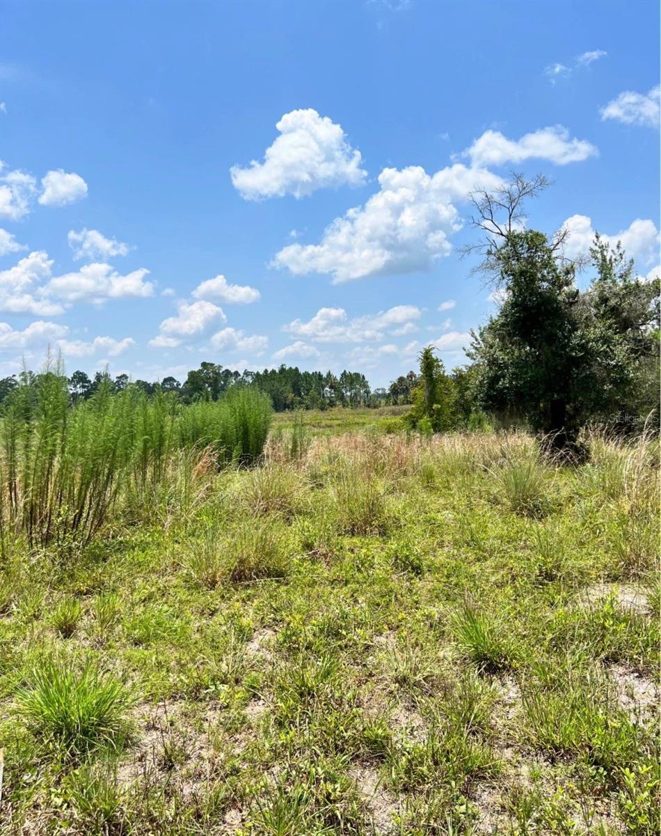 Steward Road, FL
