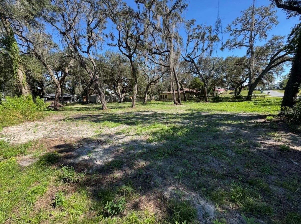 34779 Hibiscus Drive, FL