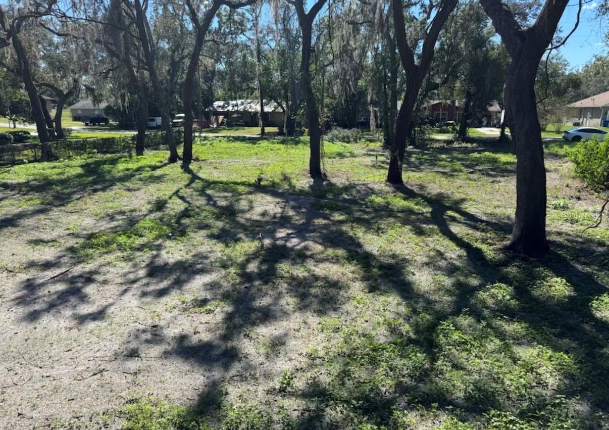 34779 Hibiscus Drive, FL