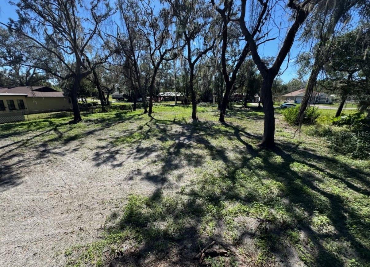 34779 Hibiscus Drive, FL