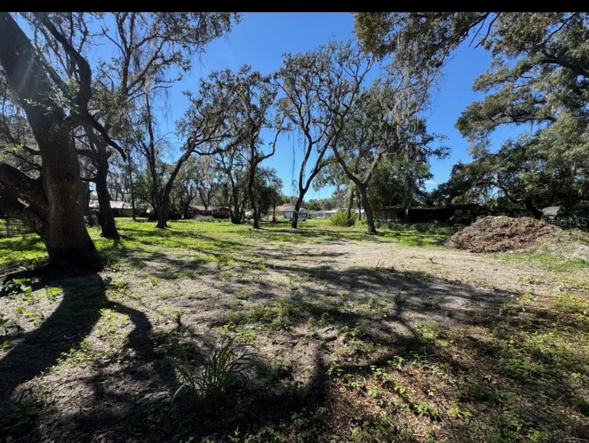 34779 Hibiscus Drive, FL