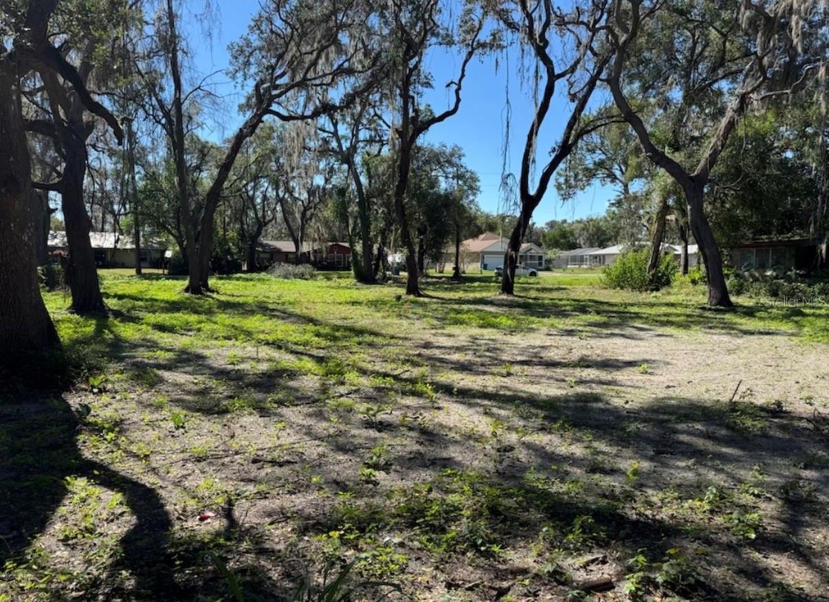 34779 Hibiscus Drive, FL