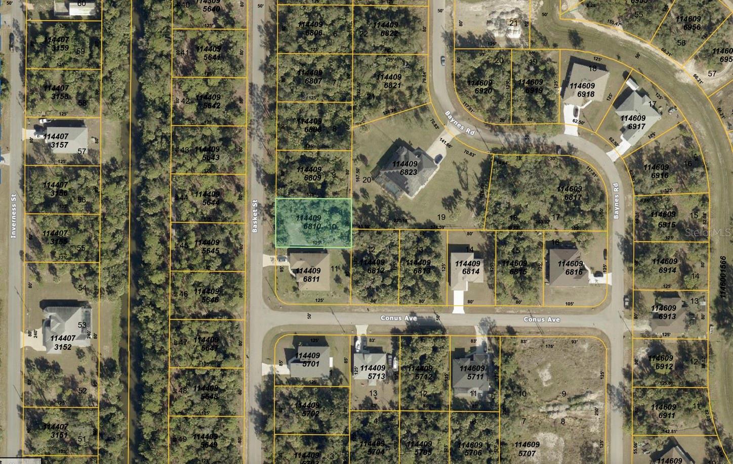 Basket Street, FL
