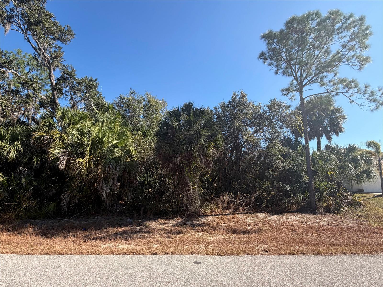 Basket Street, FL