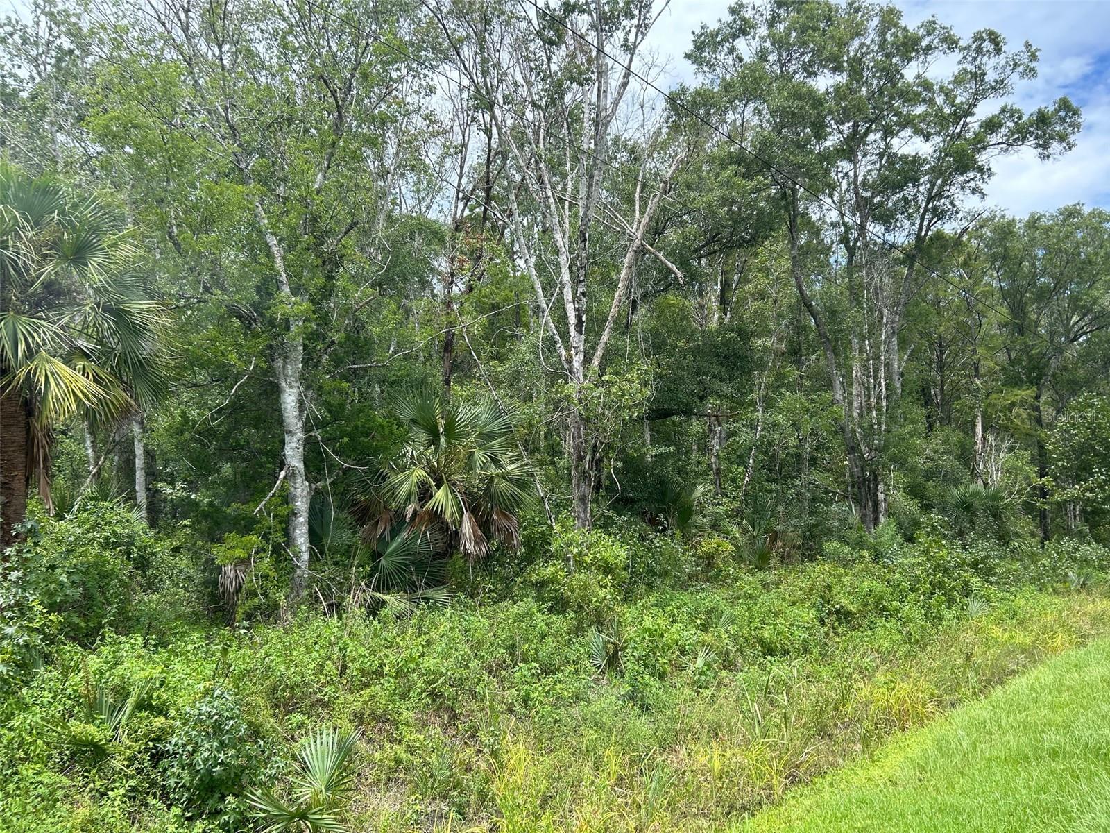 10040 Mcmahon Avenue, FL