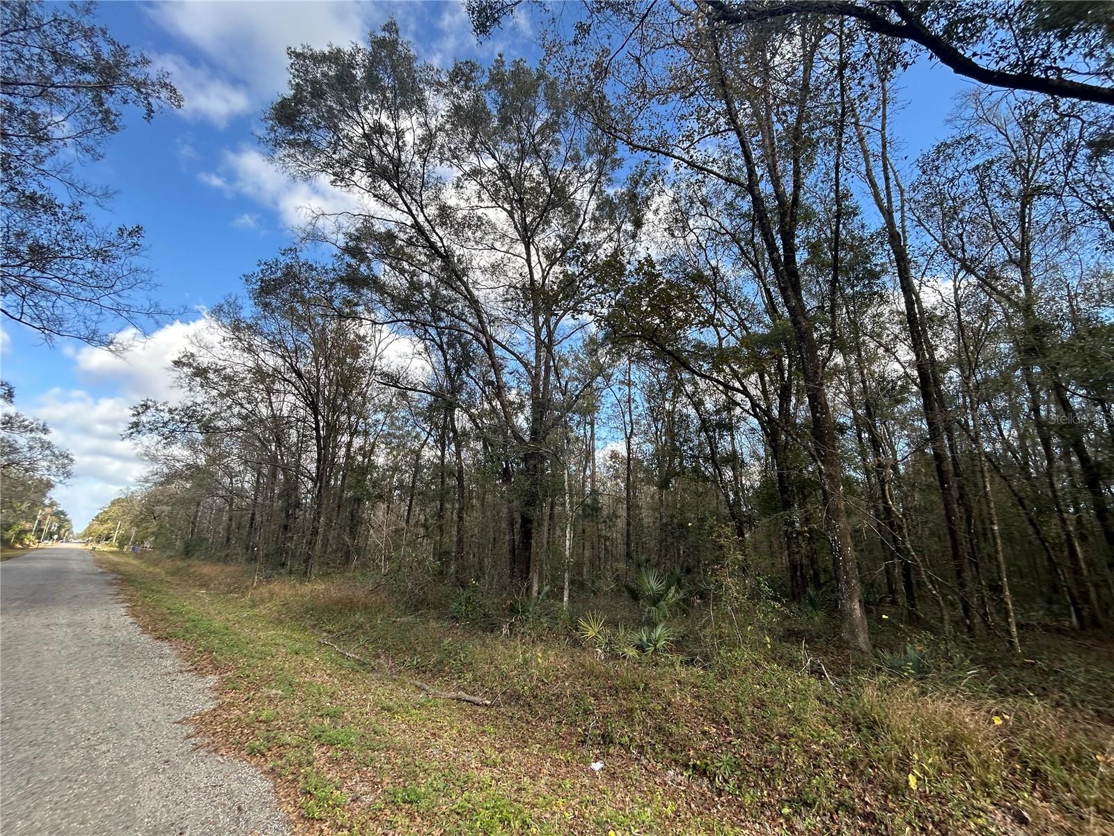 10040 Mcmahon Ave, FL