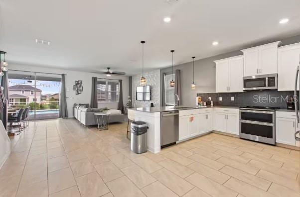 9298 Sommerset Hills Drive, FL