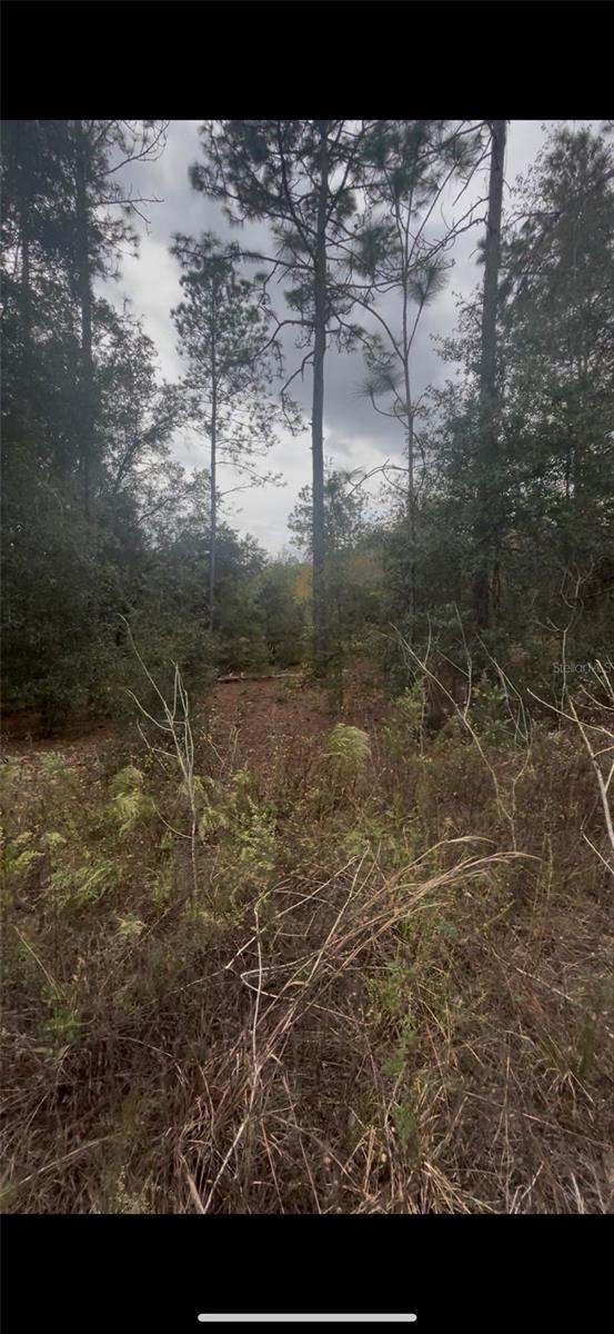 0 Sw 21 Pl, FL