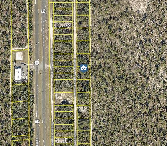 Lot 8 Necklace Warbler Avenue, FL