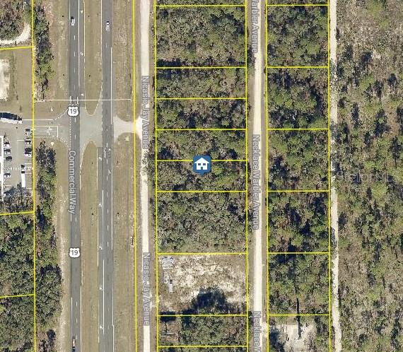 Lot 16 Necklace Warbler Avenue, FL