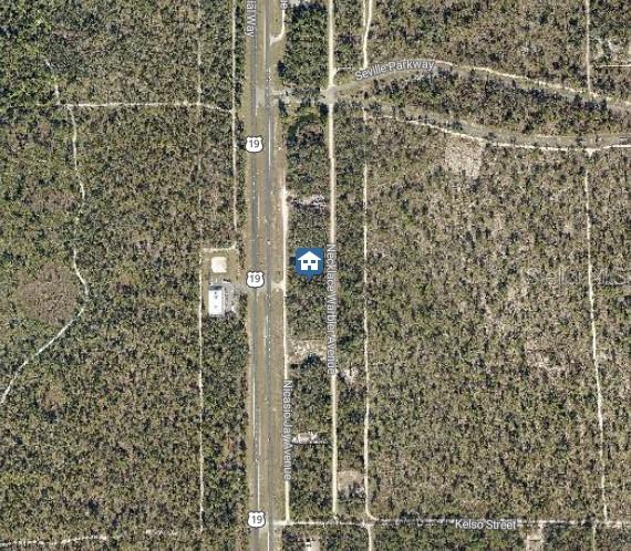 Lot 14 Necklace Warbler, FL