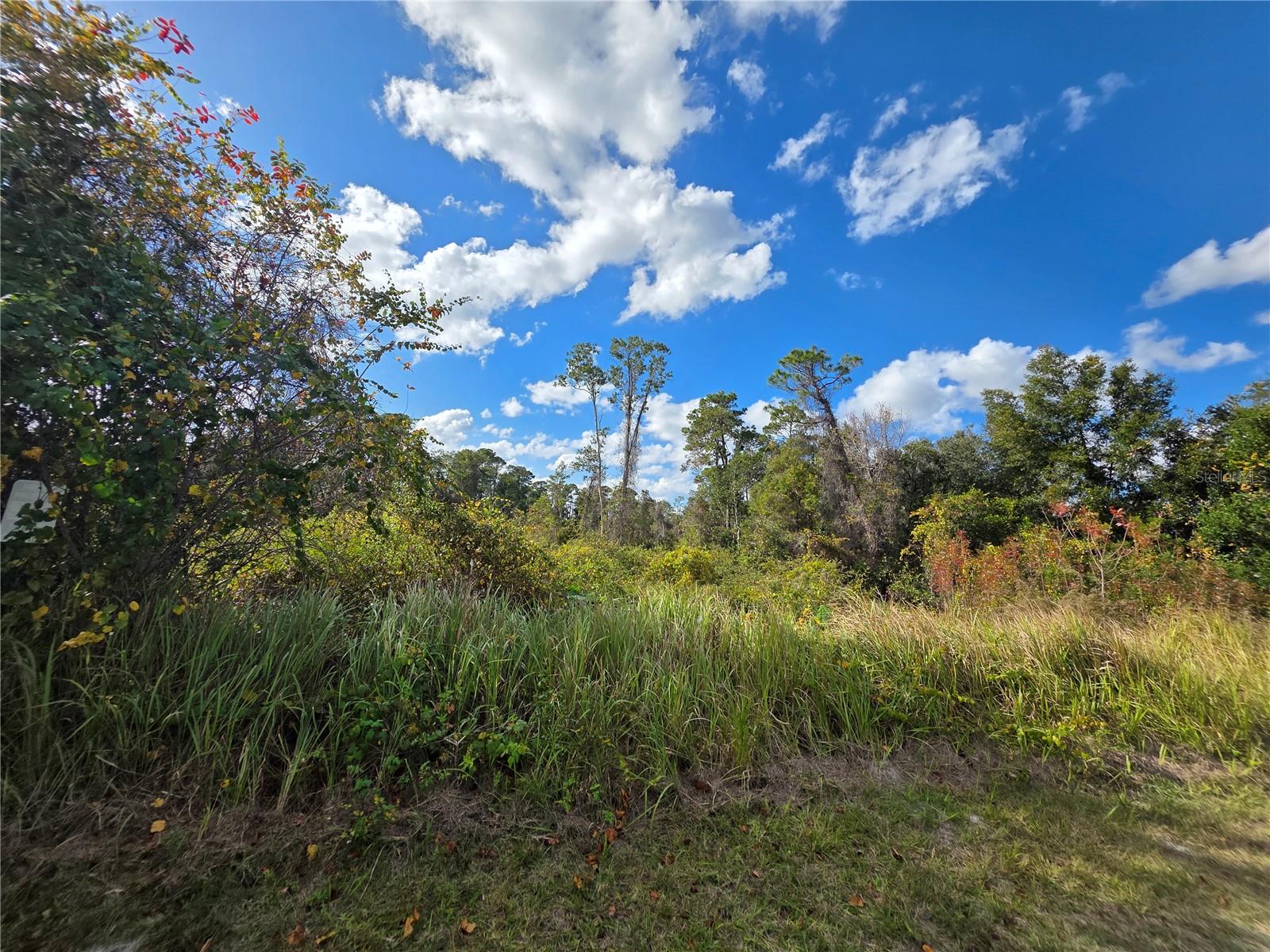 520 Kingway Drive, FL