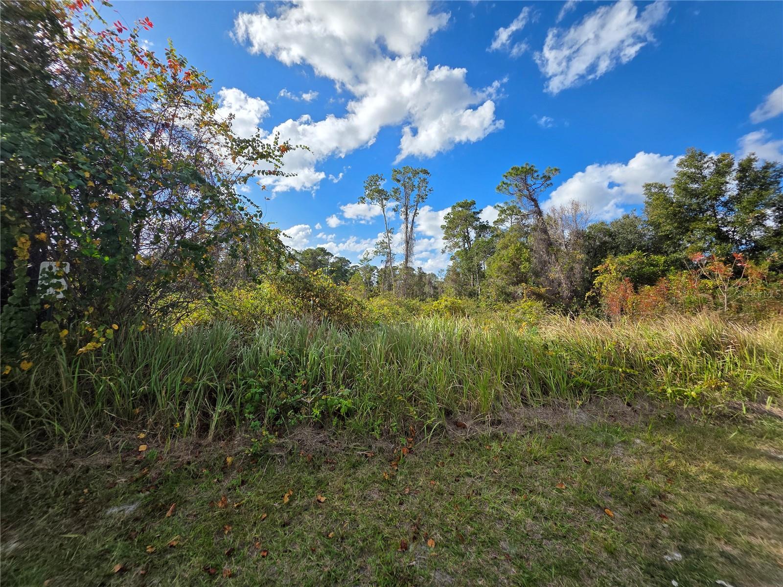 520 Kingway Drive, FL