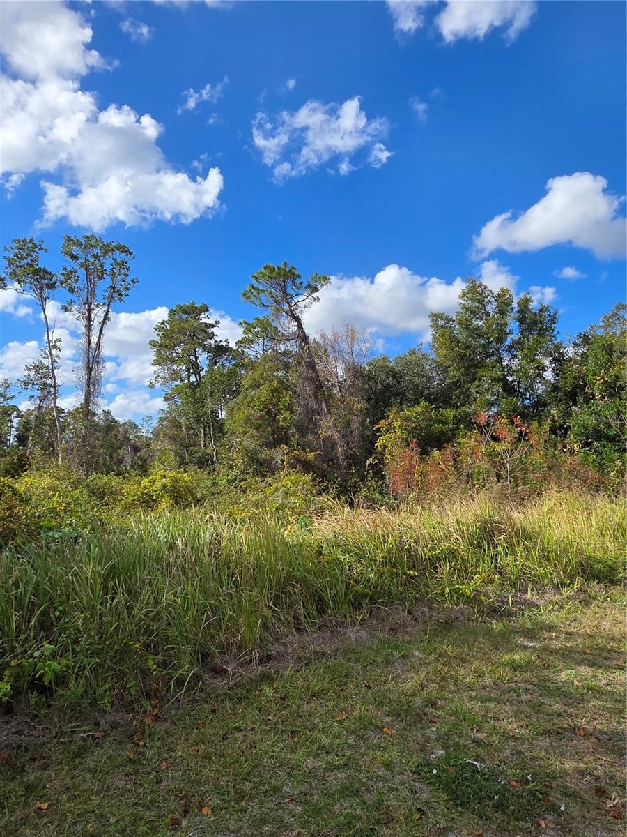 520 Kingway Drive, FL