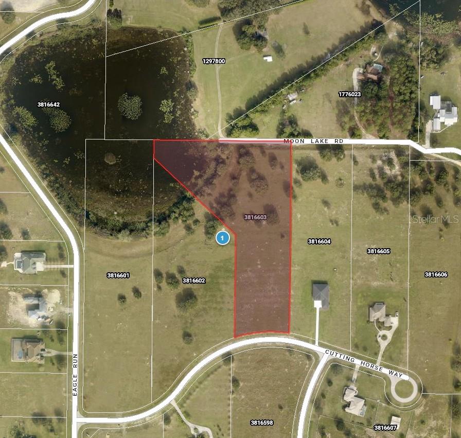 Cutting Horse Way, FL