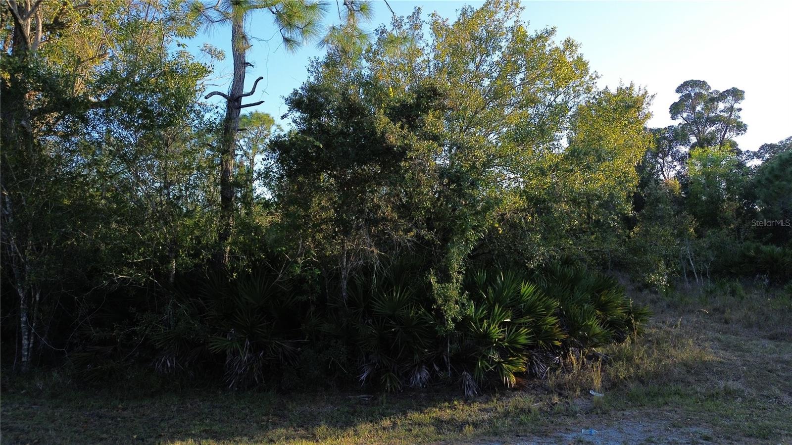 27481 Senator Dr, FL