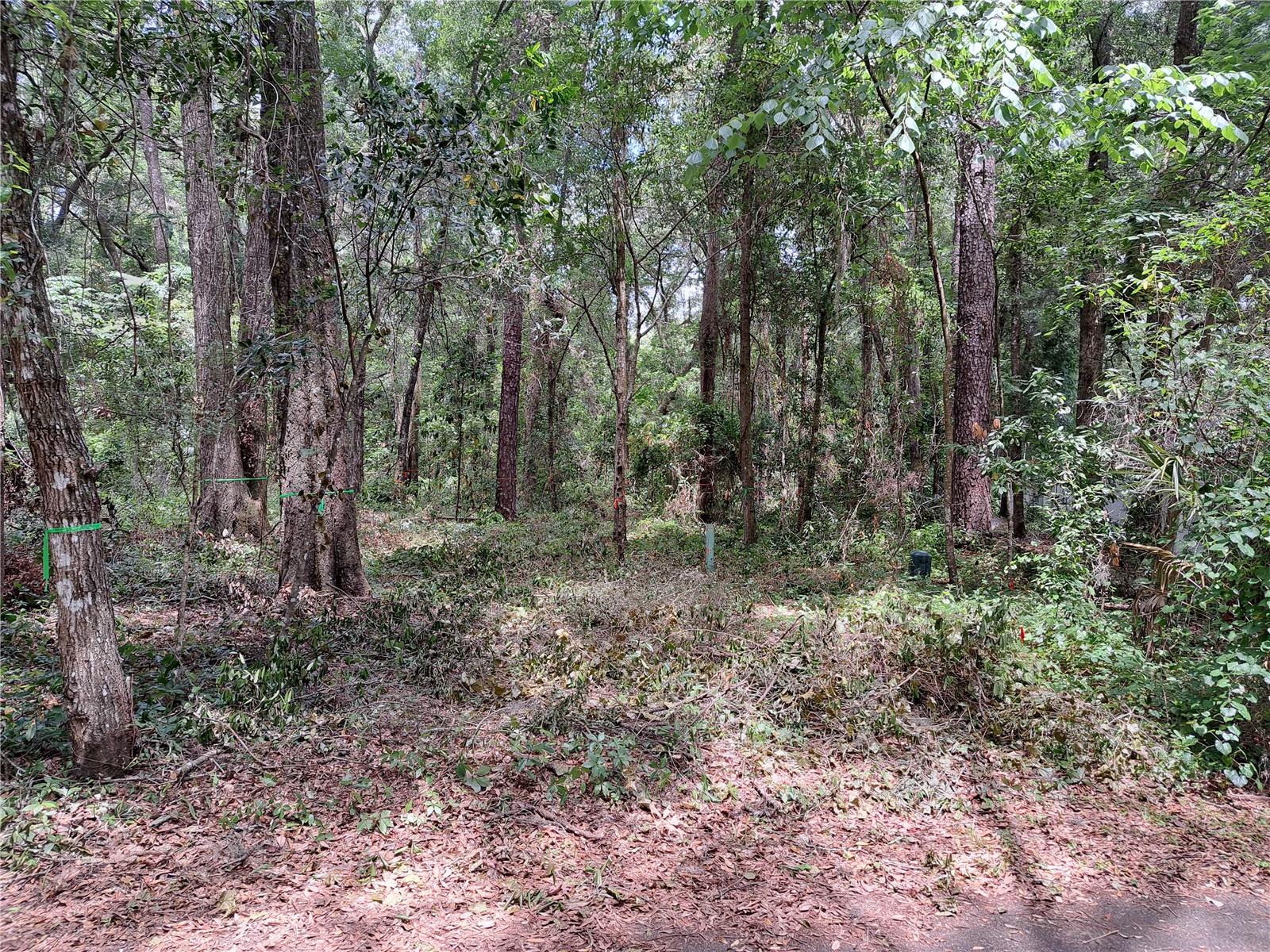 2164 37th Court, FL