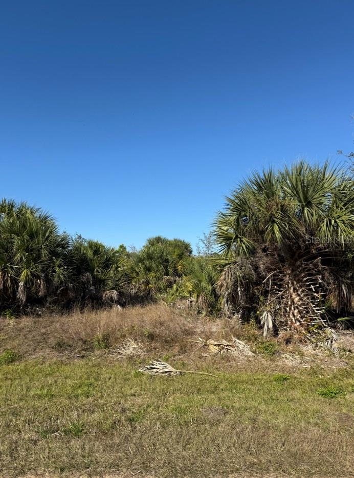 15401 Hennipen Circle, FL