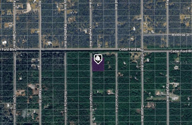 10410 Vaughan Avenue, FL