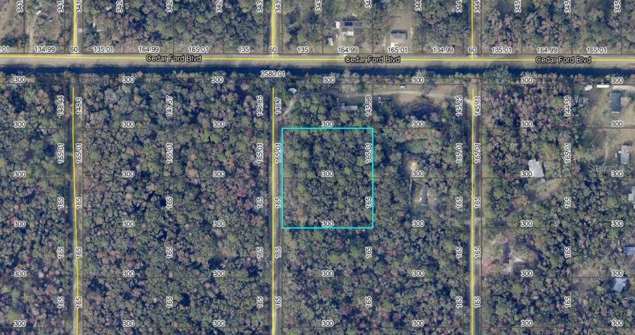 10410 Vaughan Avenue, FL