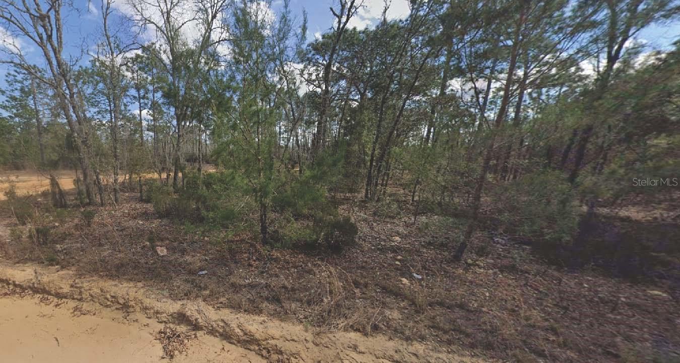 133 Lake Lucy Court, FL
