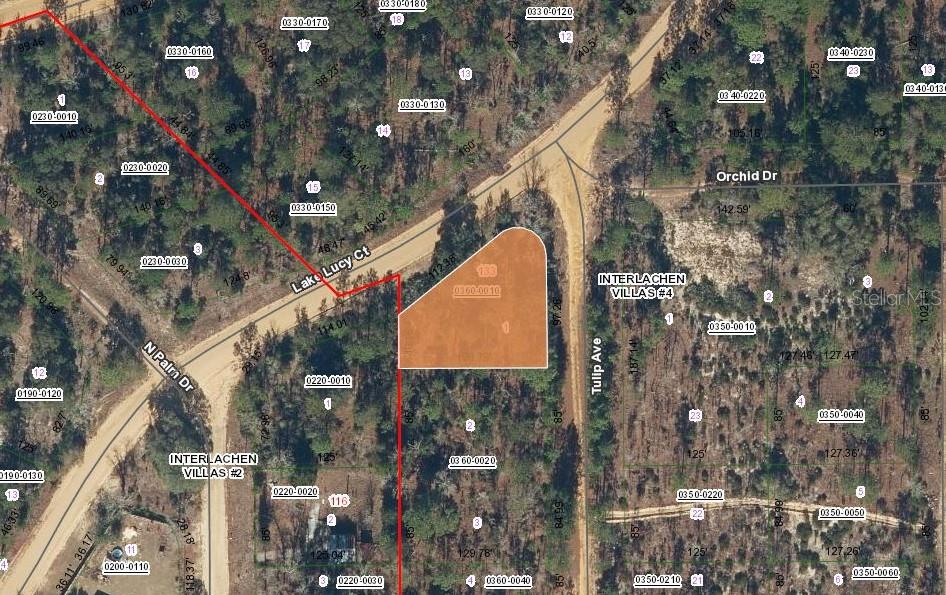 133 Lake Lucy Court, FL