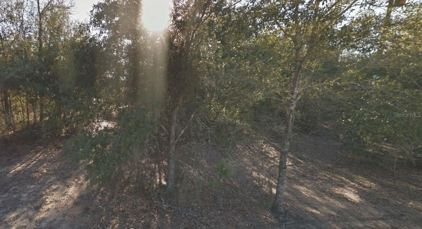 304 California Avenue, FL