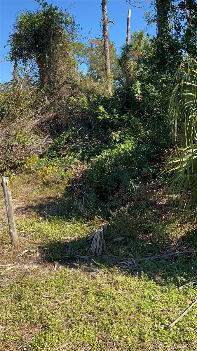 Easter Terrace, FL