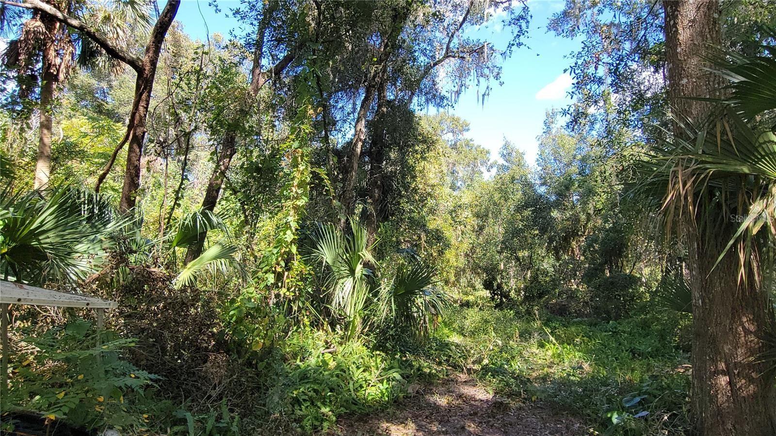 Lakeview St, FL