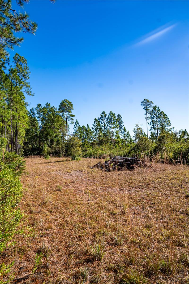 101 Thyme Dr, FL