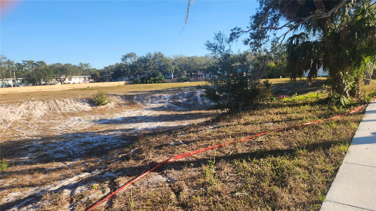 Druid Road, FL