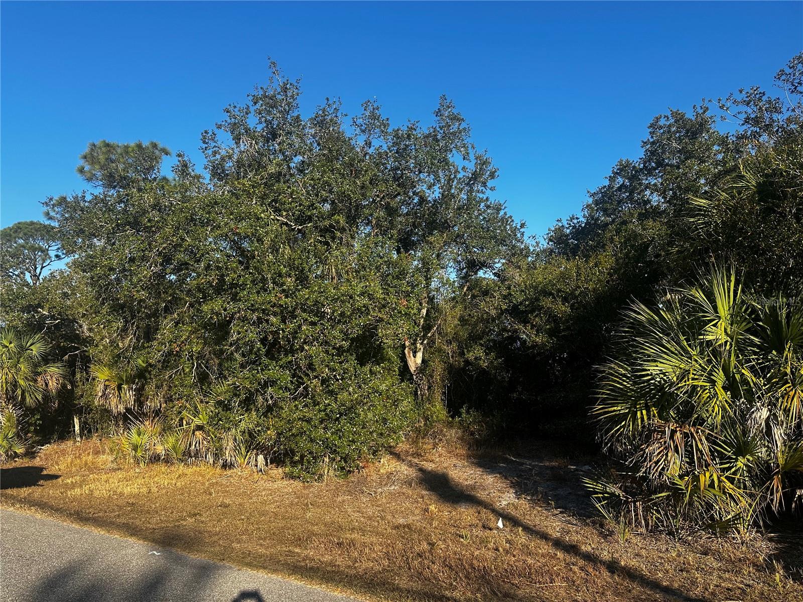 Lanai Avenue, FL