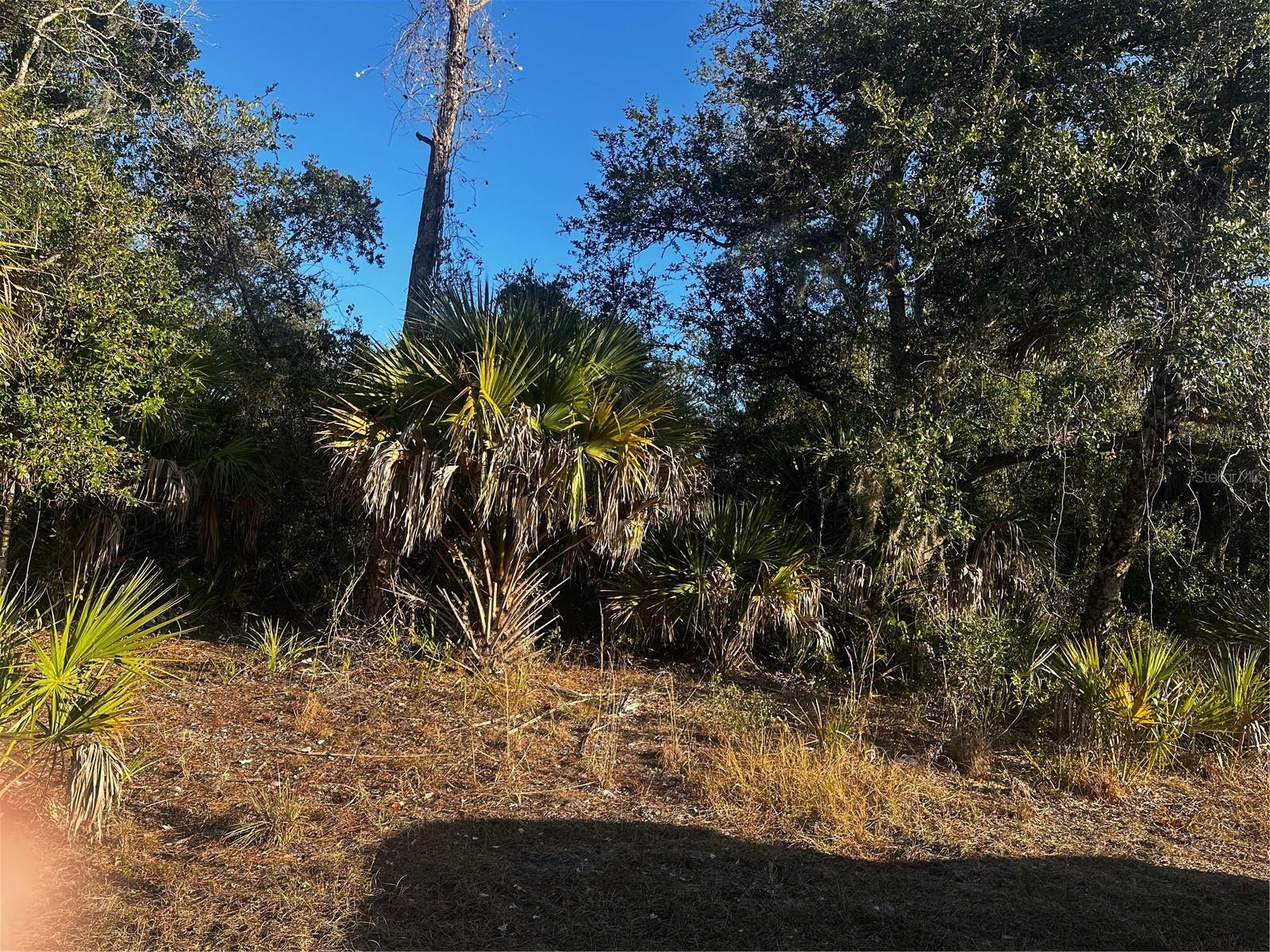 Lanai Avenue, FL