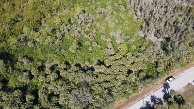 Wychewood Drive, FL
