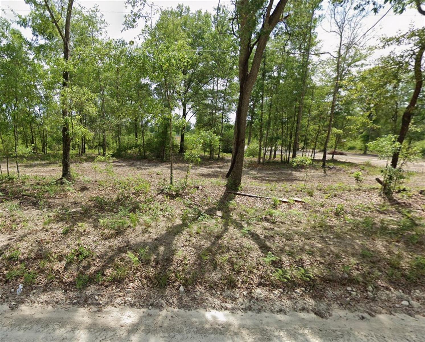 Sw Daisy Rd, FL