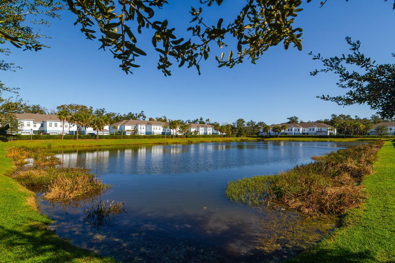 4119 Via Sienna Circle, FL
