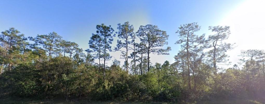 20106 Colonial Drive, FL