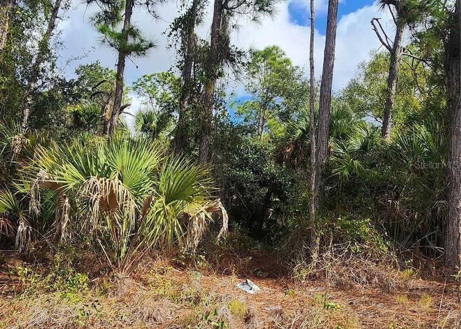 Ananas Road, FL