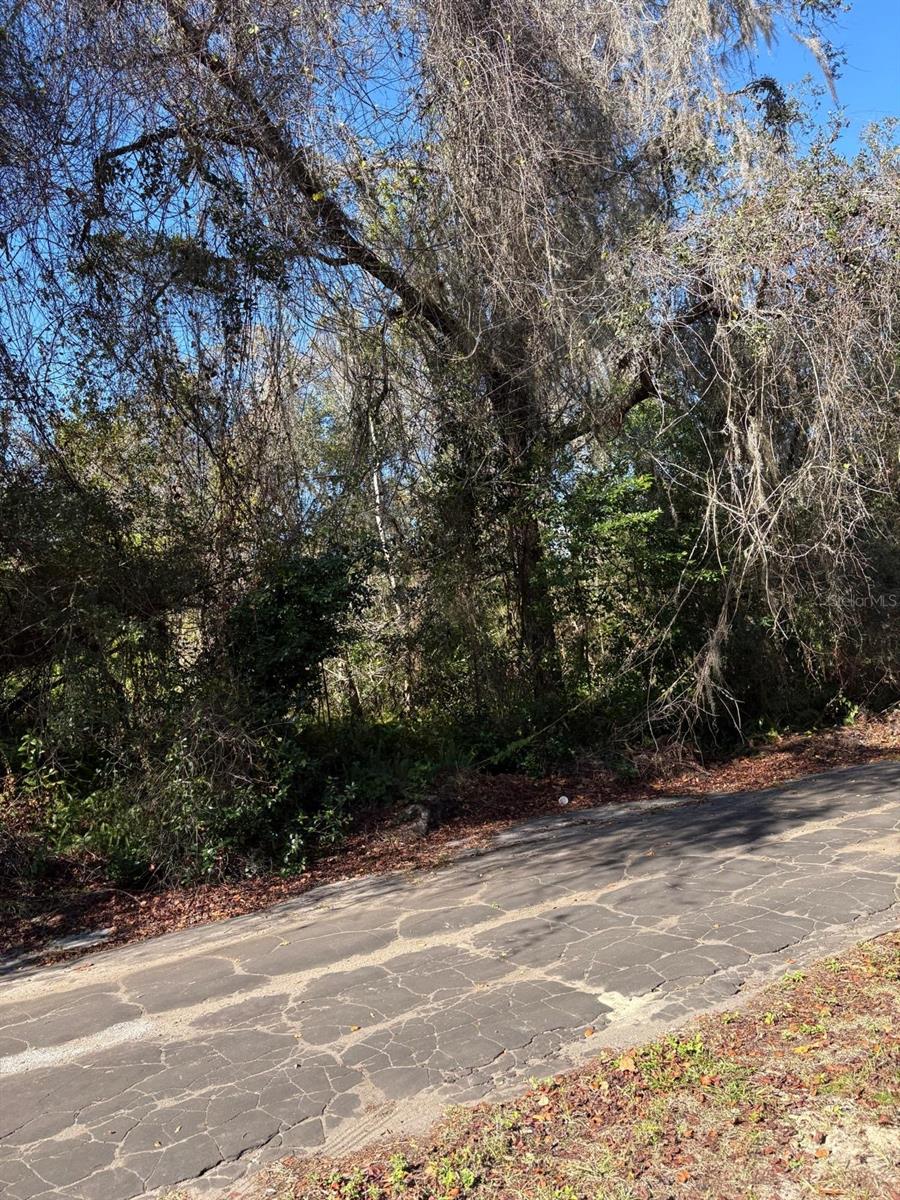 0 Pana St, FL