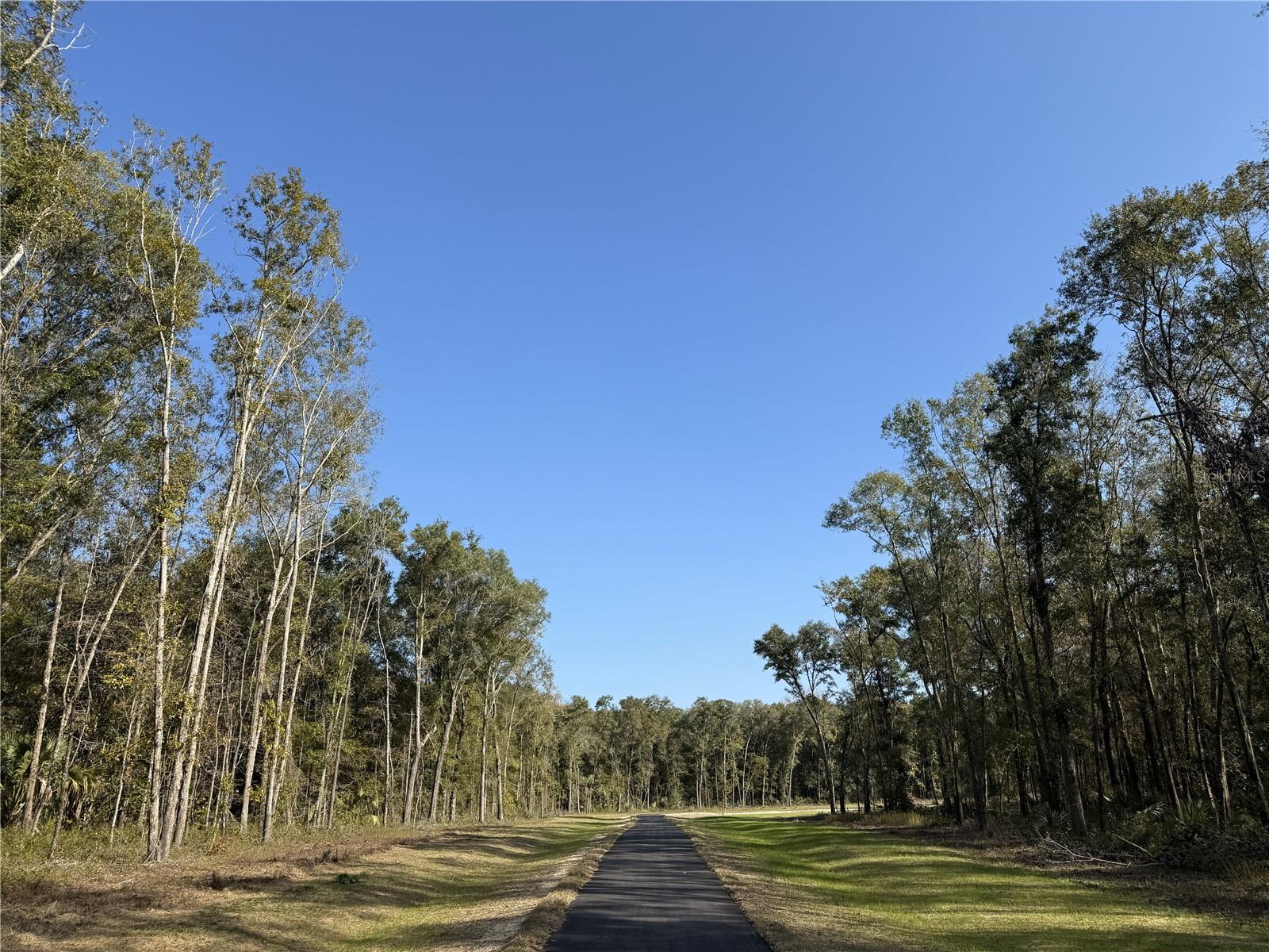 Irvine Acres #3 (10ac) Hwy 318, FL